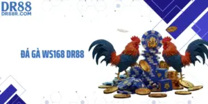 Đá Gà WS168 DR88: Sảnh Đá Gà Hợp Pháp, Đạt Chuẩn Quốc Tế